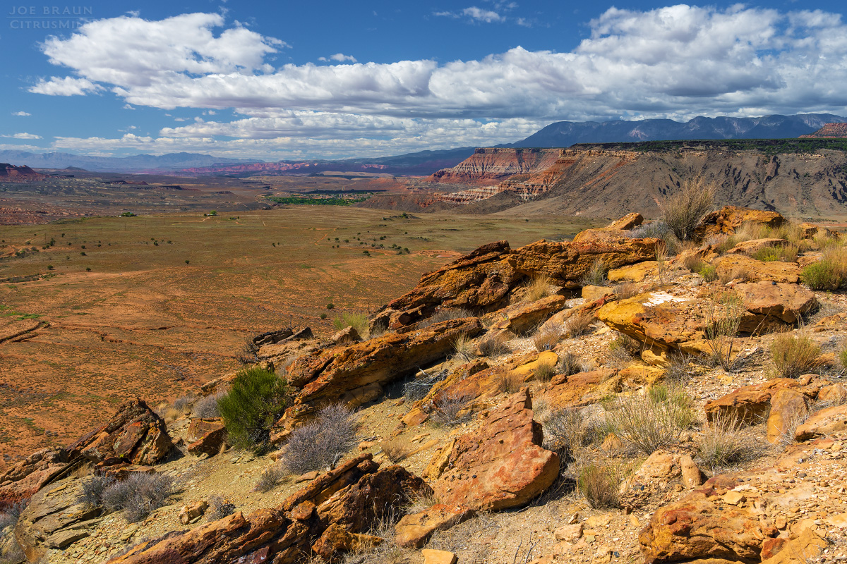 Guacamole Trail photo (Zion National Park) -- © 2025 Joe Braun Photography