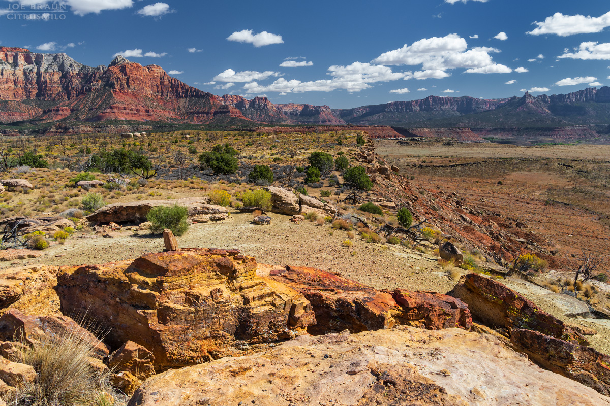 Guacamole Trail photo (Zion National Park) -- © 2025 Joe Braun Photography