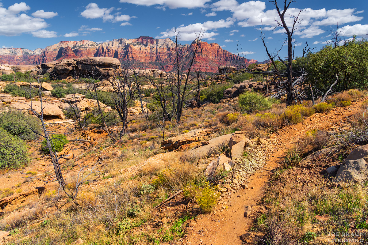 Holy Guacamole with the West Temple in the distance (Zion National Park) -- © 2025 Joe Braun Photography