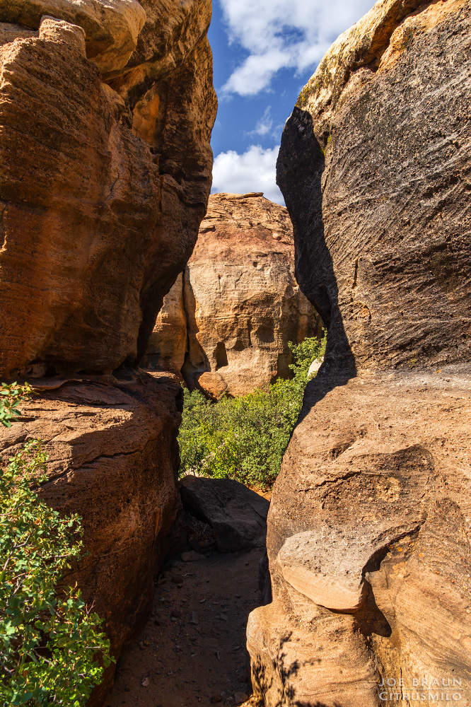 Guacamole Trail photo (Zion National Park) -- © 2025 Joe Braun Photography