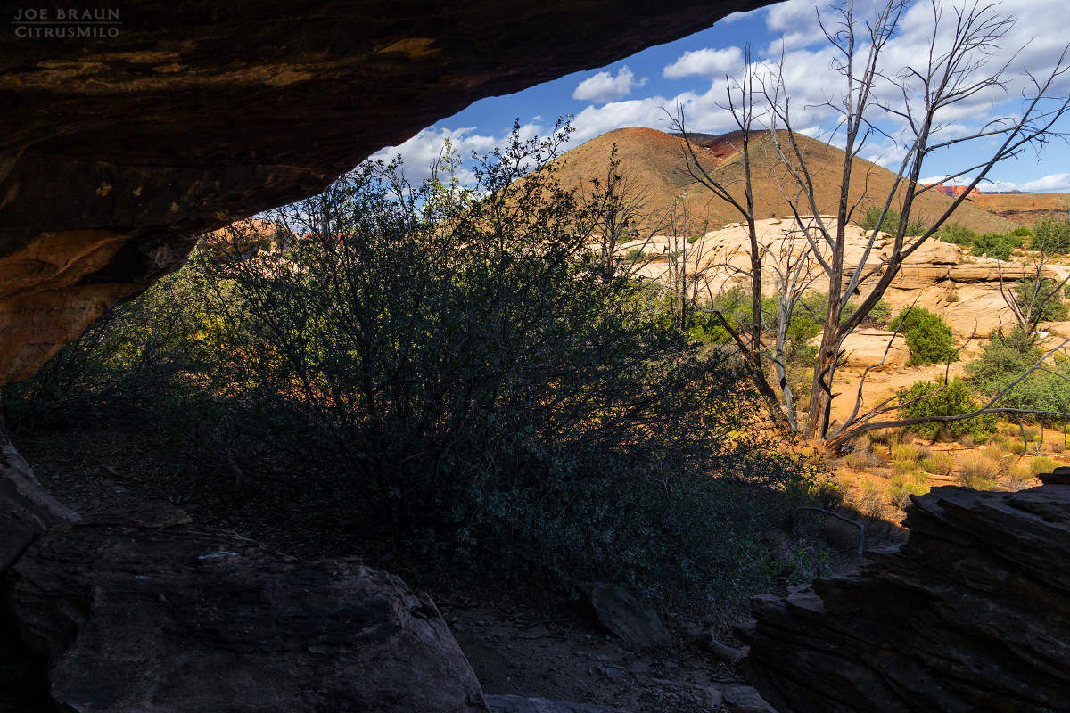 Guacamole Trail photo (Zion National Park) -- © 2025 Joe Braun Photography