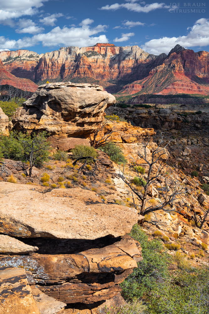 Guacamole Trail photo (Zion National Park) -- © 2025 Joe Braun Photography