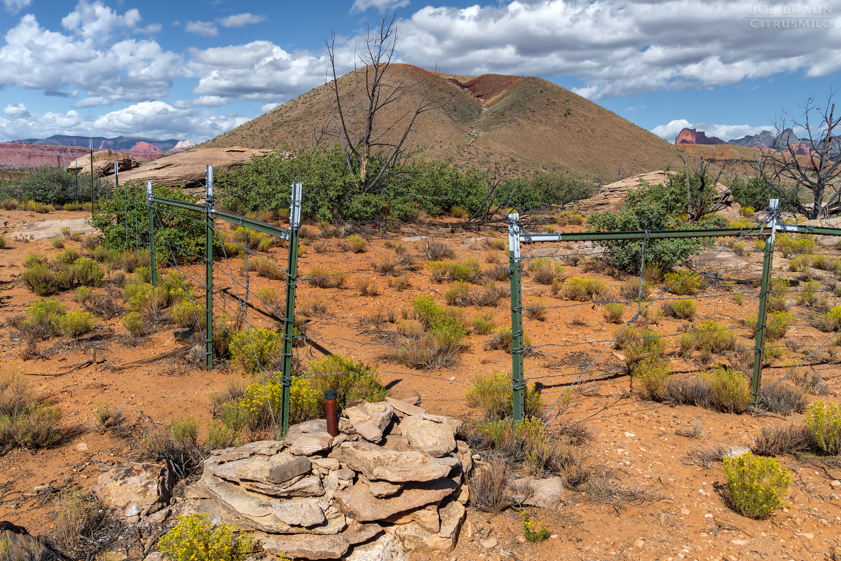 Guacamole Trail photo (Zion National Park) -- © 2025 Joe Braun Photography