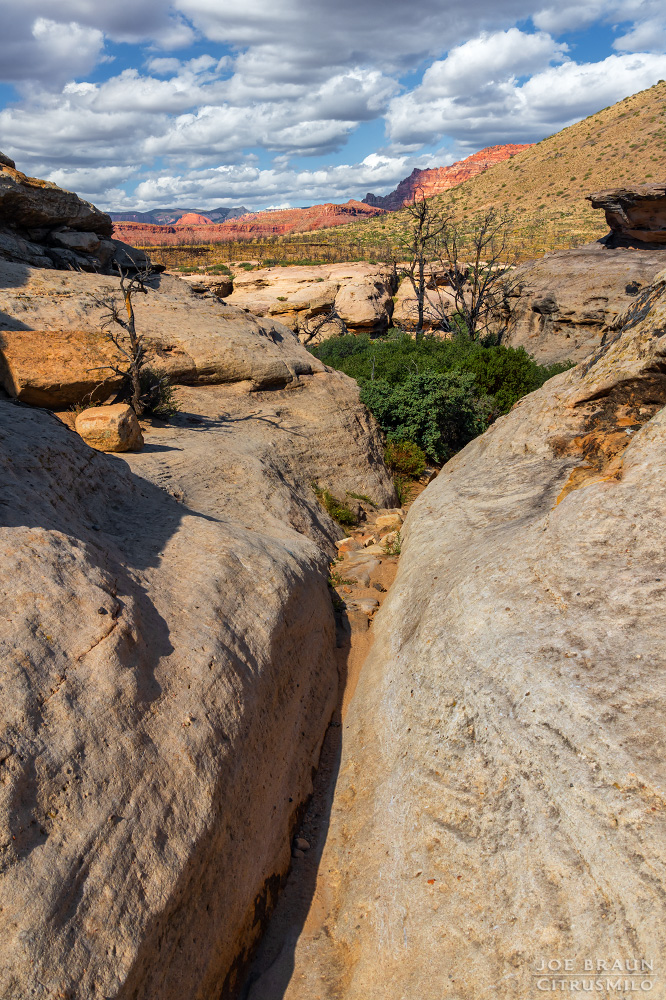 Guacamole Trail photo (Zion National Park) -- © 2025 Joe Braun Photography