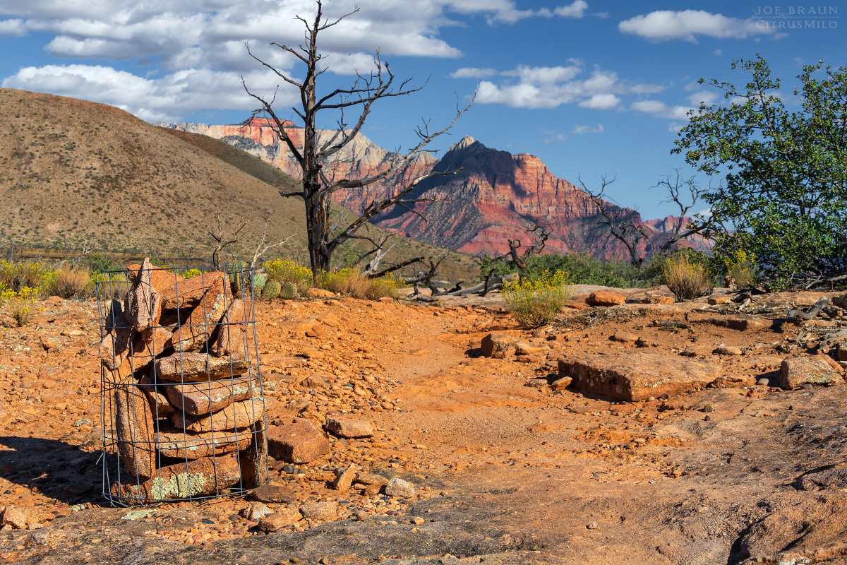 Crater Hill and West Temple as seen from the Guacamole Loop (Zion National Park) -- © 2025 Joe Braun Photography