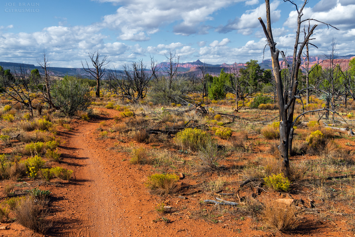 the Margarita Trail heads back to the parking area (Zion National Park) -- © 2025 Joe Braun Photography