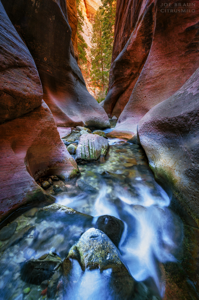 Kanarra Falls photo (Zion National Park) -- © 2025 Joe Braun Photography