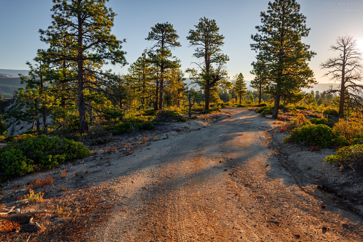 the access road east of the West Rim Trailhead (Zion National Park) -- © 2025 Joe Braun Photography