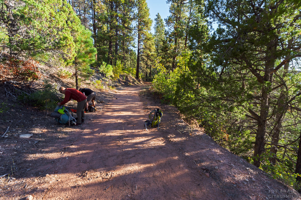 Kolob Creek (Lower Kolob Canyon) photo (Zion National Park) -- © 2025 Joe Braun Photography