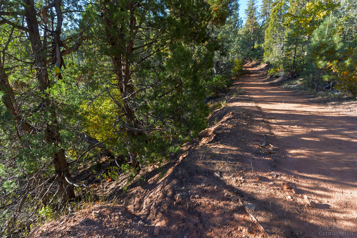 Kolob Creek (Lower Kolob Canyon) photo (Zion National Park) -- © 2025 Joe Braun Photography