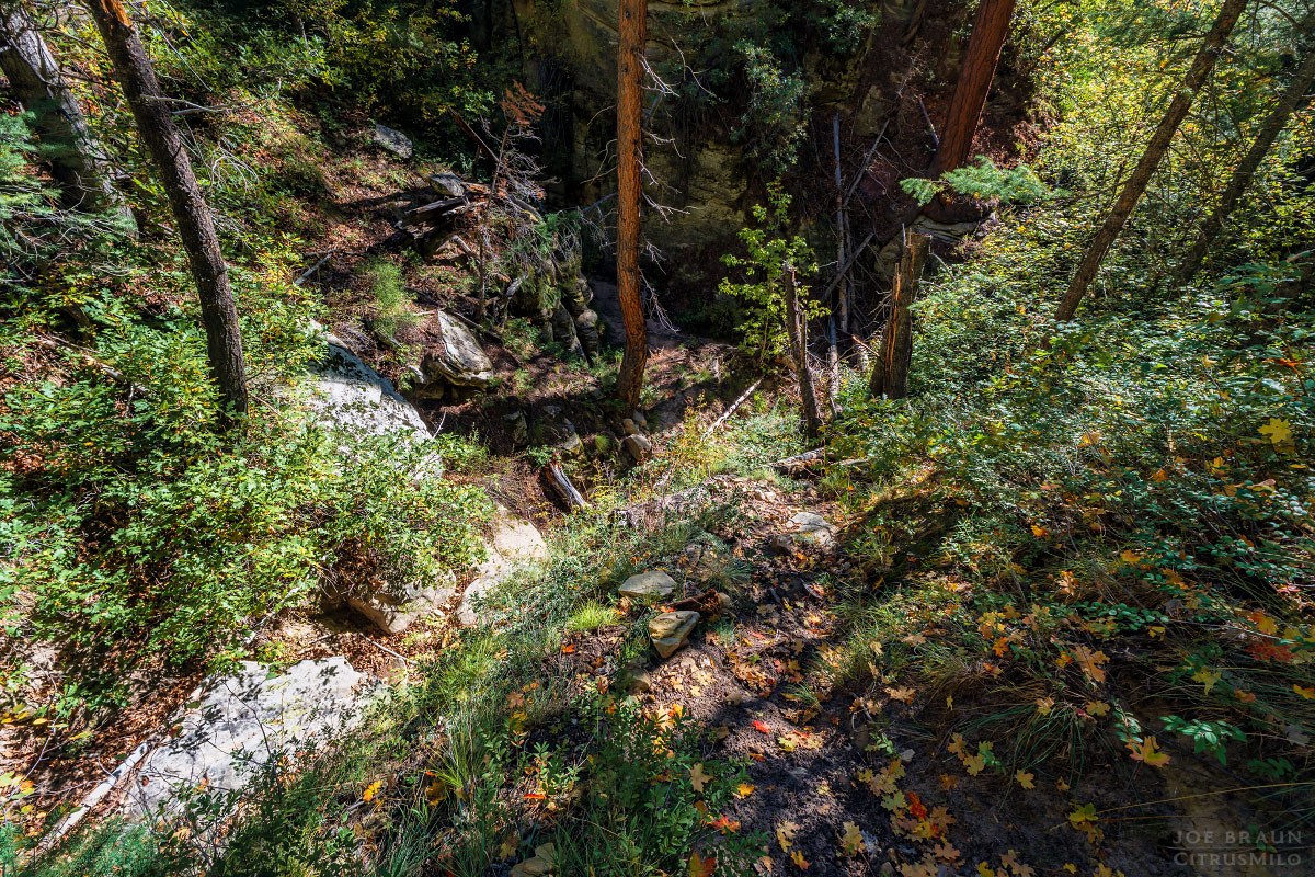 Kolob Creek (Lower Kolob Canyon) photo (Zion National Park) -- © 2025 Joe Braun Photography