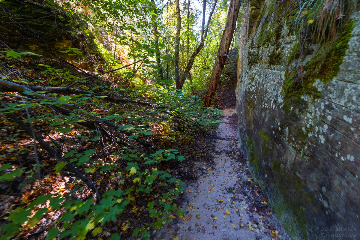 Kolob Creek (Lower Kolob Canyon) photo (Zion National Park) -- © 2025 Joe Braun Photography