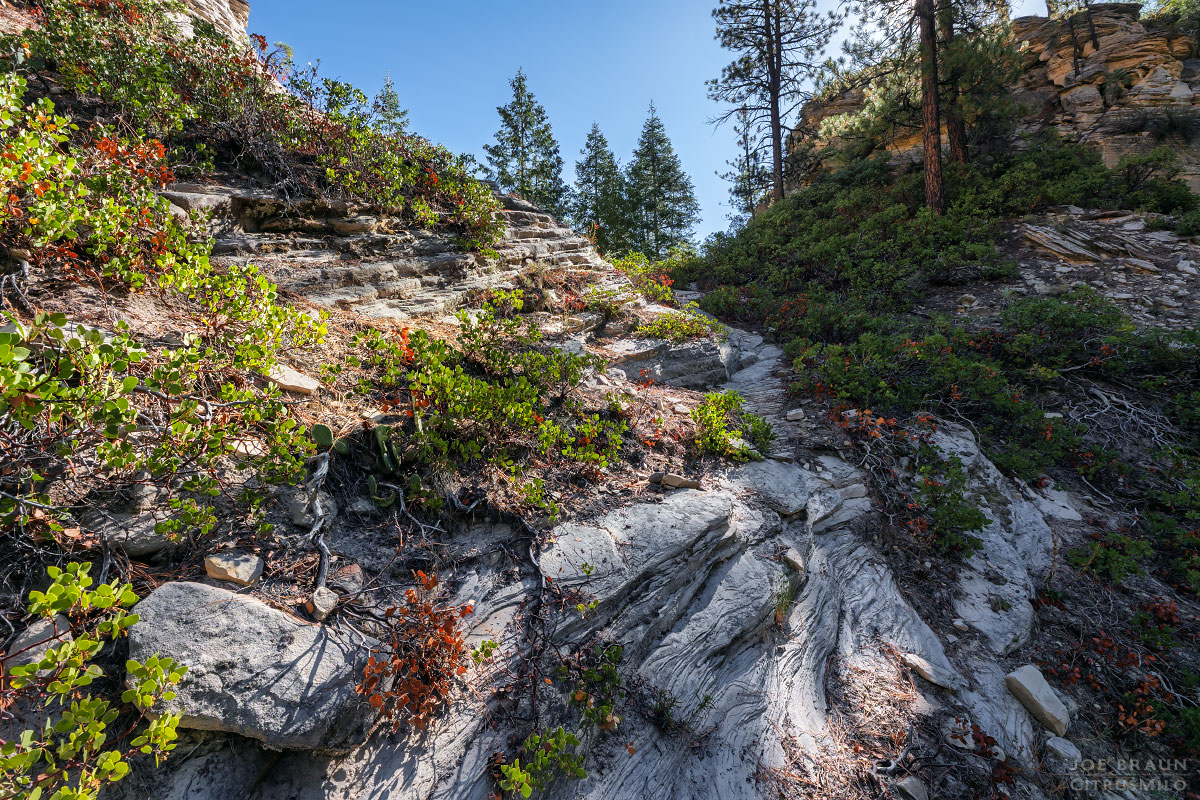 Kolob Creek (Lower Kolob Canyon) photo (Zion National Park) -- © 2025 Joe Braun Photography