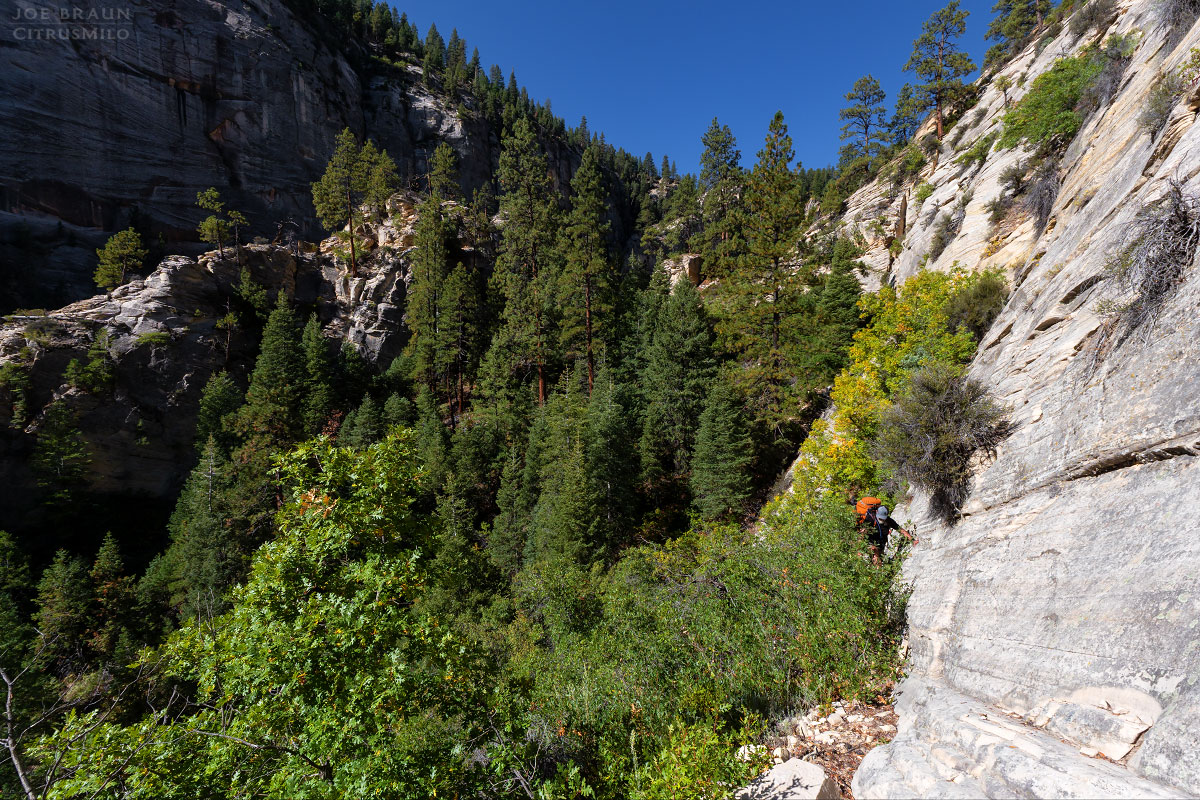 Kolob Creek (Lower Kolob Canyon) photo (Zion National Park) -- © 2025 Joe Braun Photography