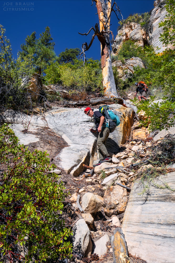 Kolob Creek (Lower Kolob Canyon) photo (Zion National Park) -- © 2025 Joe Braun Photography