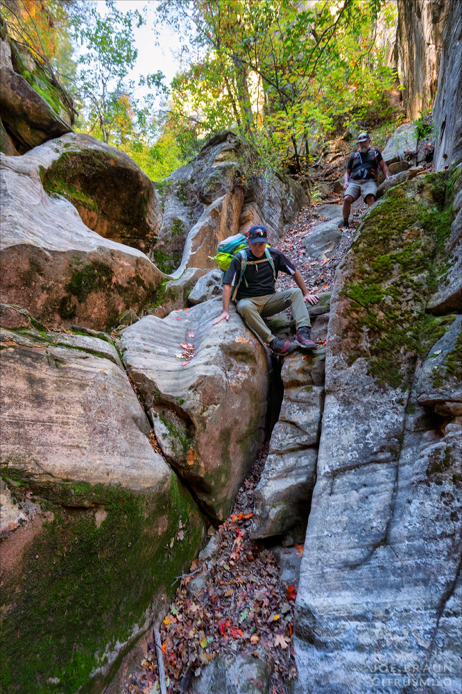 Kolob Creek (Lower Kolob Canyon) photo (Zion National Park) -- © 2025 Joe Braun Photography