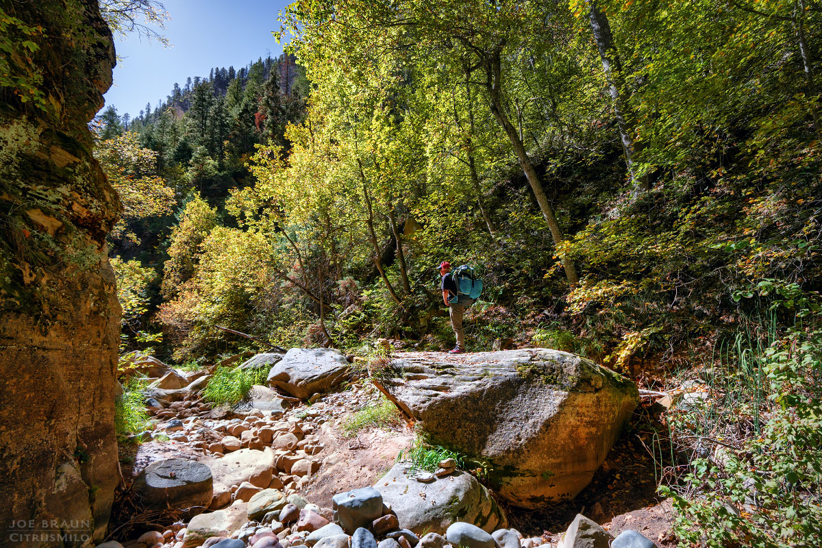 Kolob Creek (Lower Kolob Canyon) photo (Zion National Park) -- © 2025 Joe Braun Photography