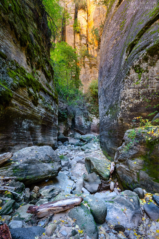 Kolob Creek (Lower Kolob Canyon) photo (Zion National Park) -- © 2025 Joe Braun Photography
