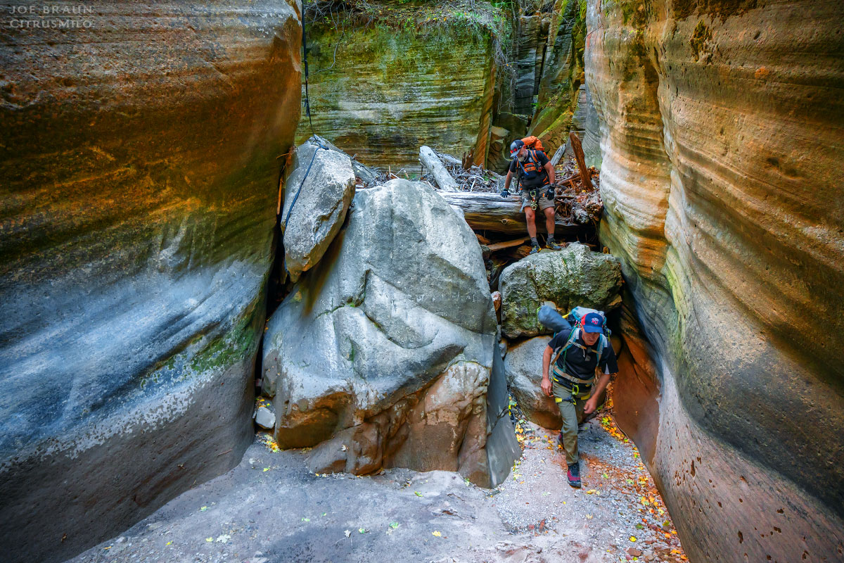 Kolob Creek (Lower Kolob Canyon) photo (Zion National Park) -- © 2025 Joe Braun Photography