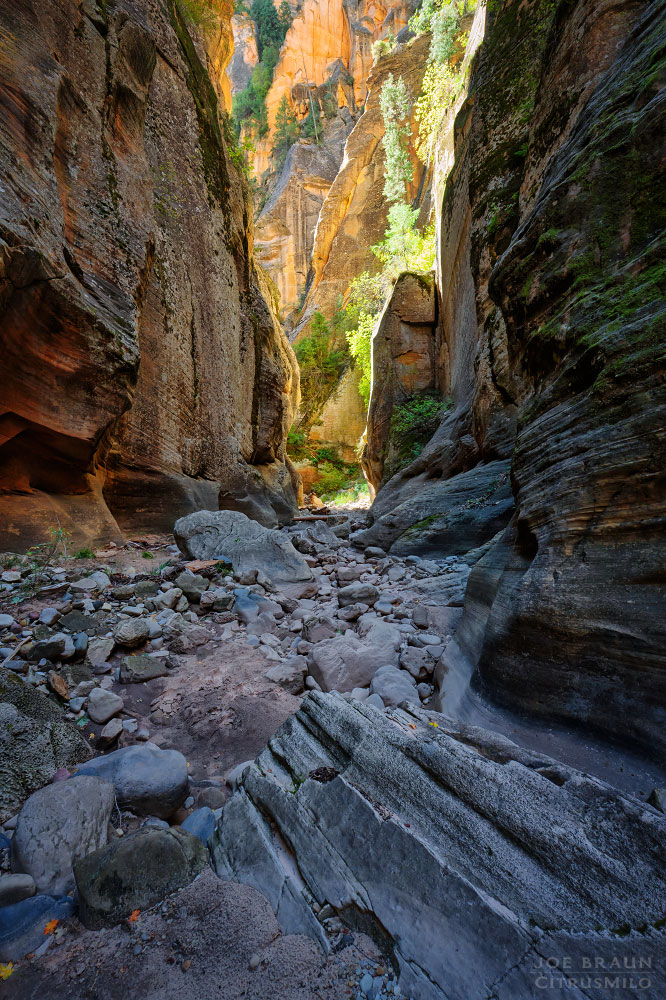 Kolob Creek (Lower Kolob Canyon) photo (Zion National Park) -- © 2025 Joe Braun Photography