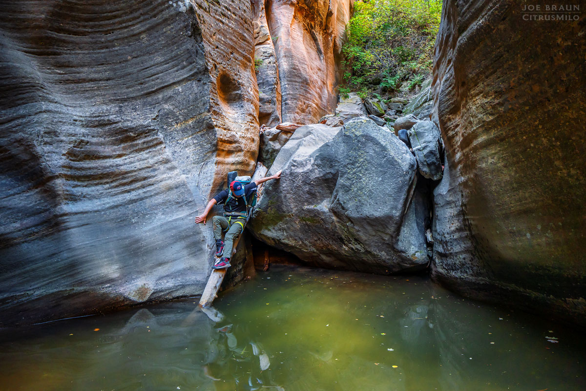 Kolob Creek (Lower Kolob Canyon) photo (Zion National Park) -- © 2025 Joe Braun Photography