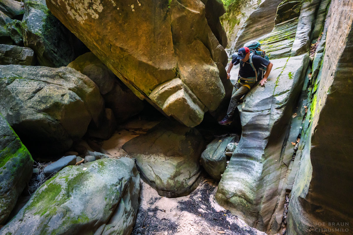 Kolob Creek (Lower Kolob Canyon) photo (Zion National Park) -- © 2025 Joe Braun Photography