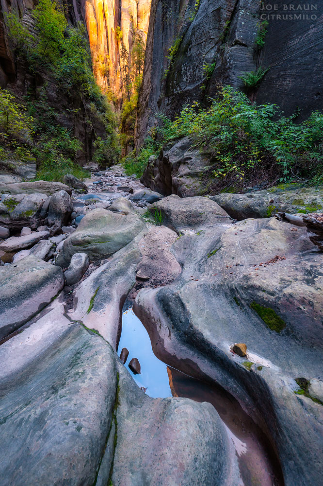 Kolob Creek (Lower Kolob Canyon) photo (Zion National Park) -- © 2025 Joe Braun Photography