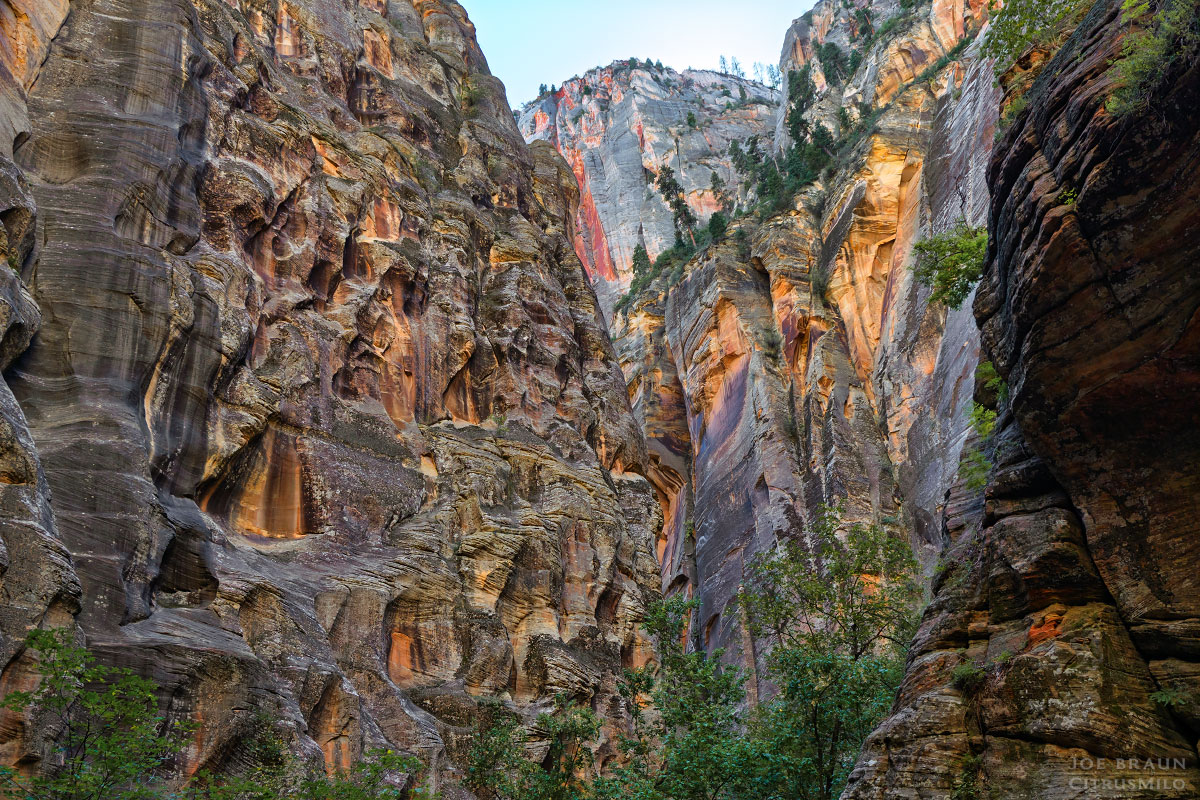 Kolob Creek (Lower Kolob Canyon) photo (Zion National Park) -- © 2025 Joe Braun Photography