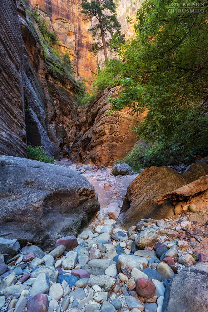 Kolob Creek (Lower Kolob Canyon) photo (Zion National Park) -- © 2025 Joe Braun Photography