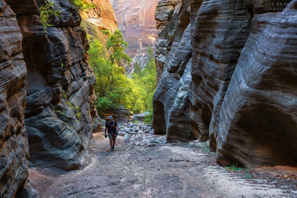 a hiker enters a dark narrows section of Kolob Creek (Zion National Park) -- © 2025 Joe Braun Photography