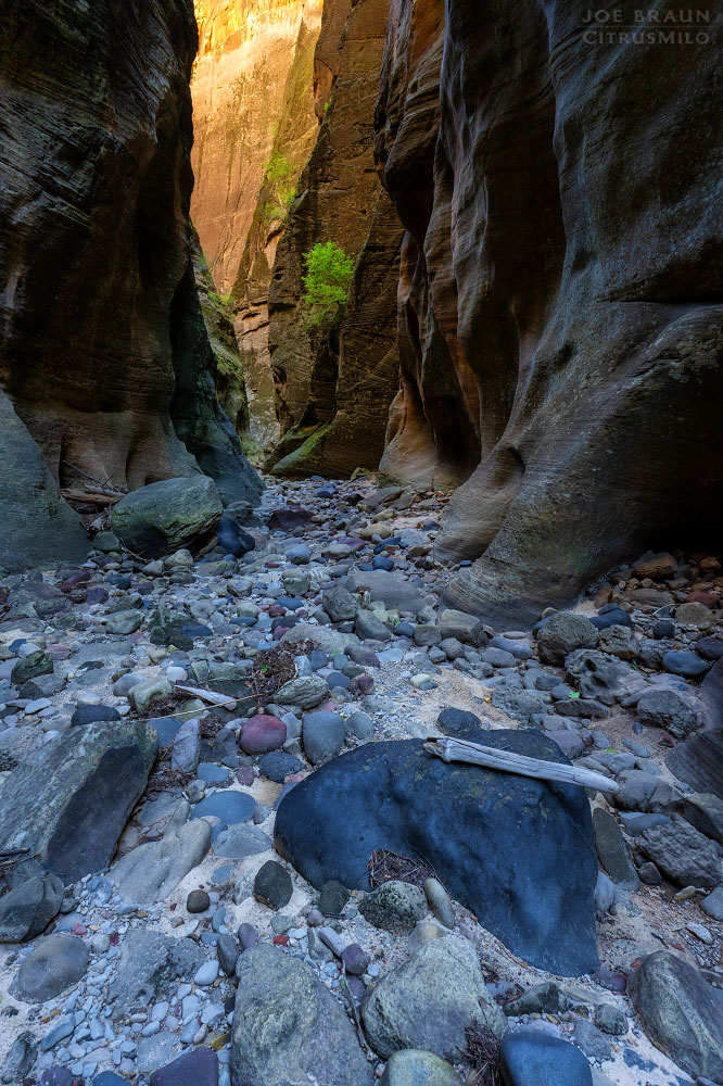 Kolob Creek (Lower Kolob Canyon) photo (Zion National Park) -- © 2025 Joe Braun Photography