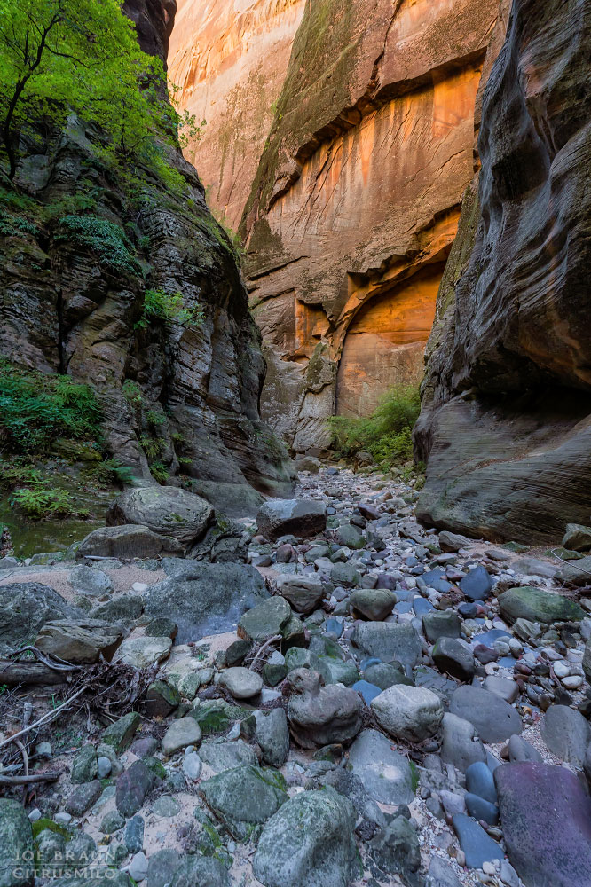 Kolob Creek (Lower Kolob Canyon) photo (Zion National Park) -- © 2025 Joe Braun Photography