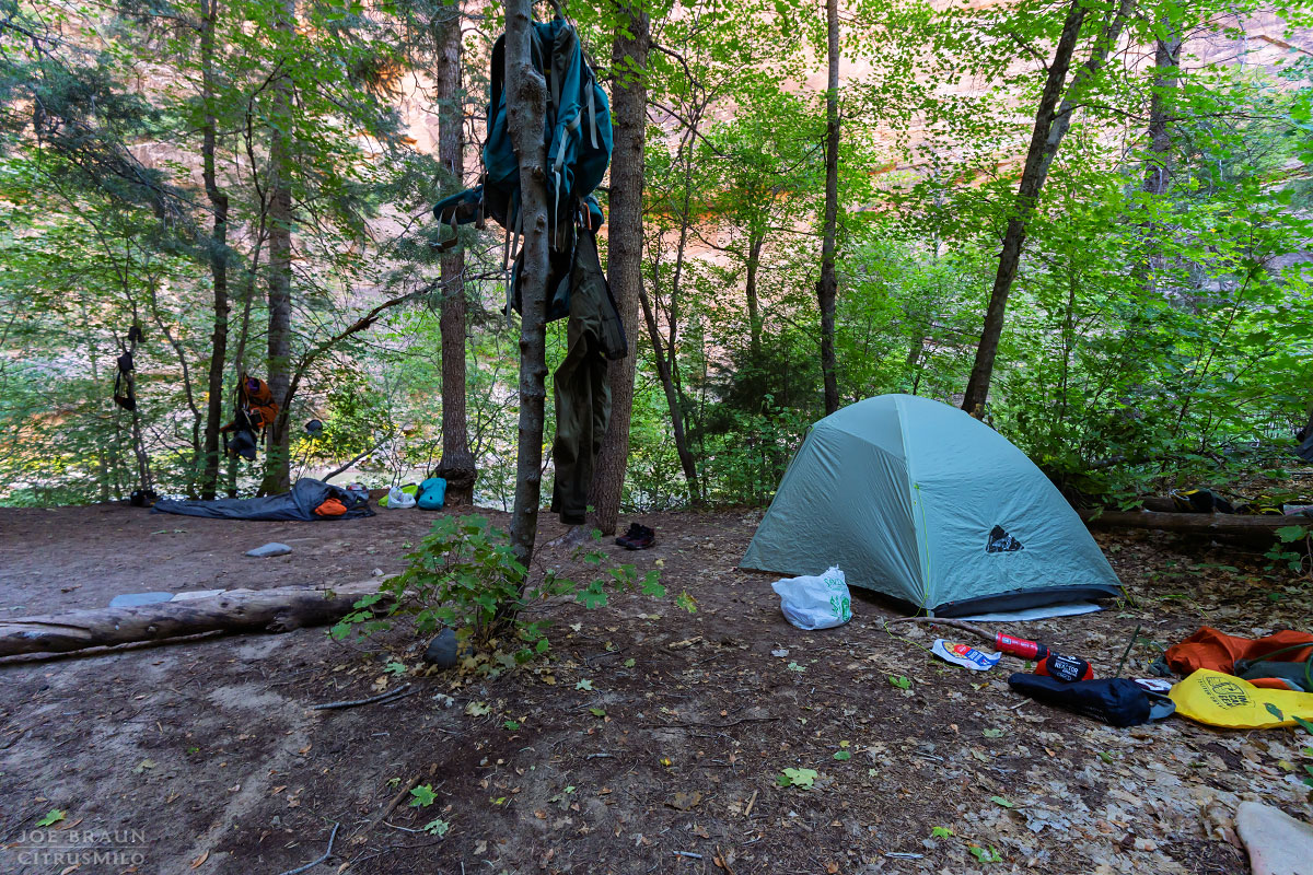 Kolob Creek (Lower Kolob Canyon) photo (Zion National Park) -- © 2025 Joe Braun Photography