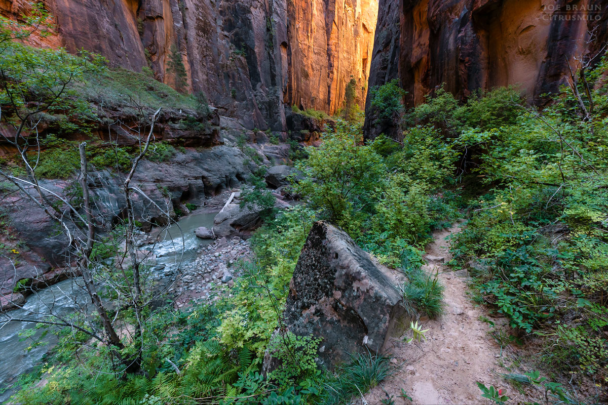 Kolob Creek (Lower Kolob Canyon) photo (Zion National Park) -- © 2025 Joe Braun Photography