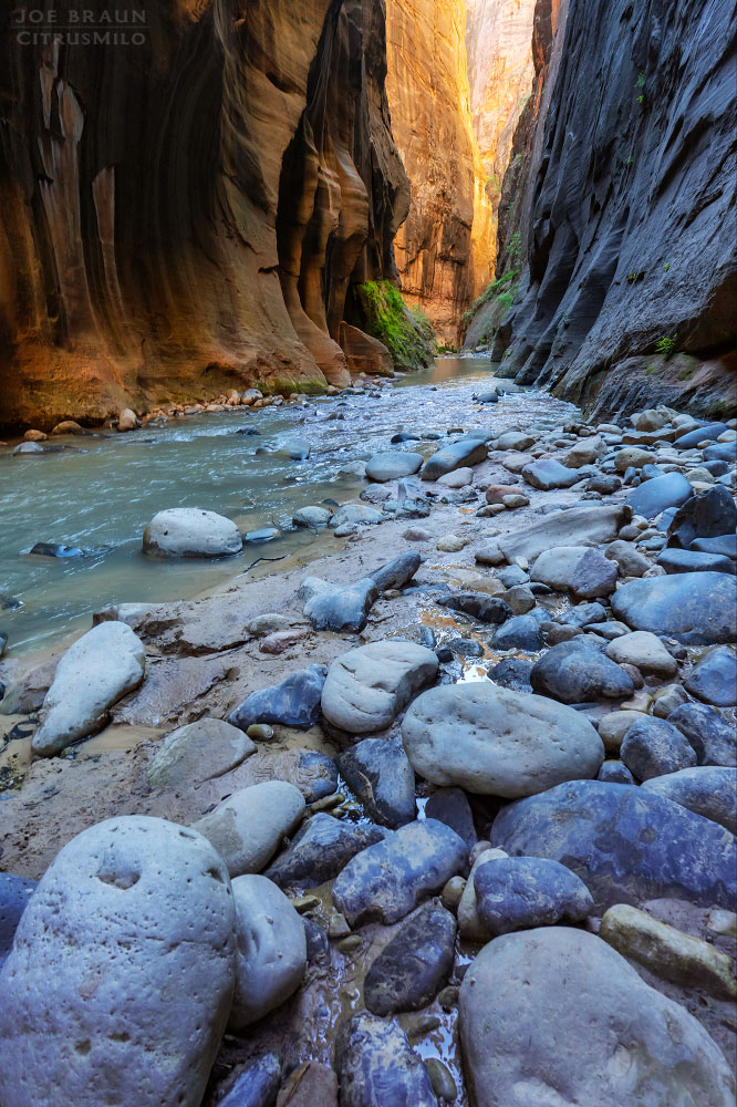 Kolob Creek (Lower Kolob Canyon) photo (Zion National Park) -- © 2025 Joe Braun Photography