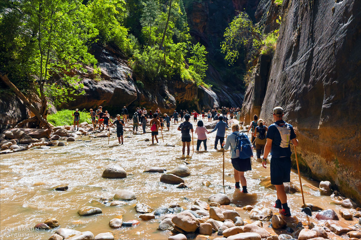 Kolob Creek (Lower Kolob Canyon) photo (Zion National Park) -- © 2025 Joe Braun Photography