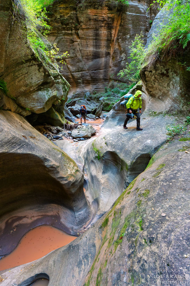 Kolob Creek (Lower Kolob Canyon) photo (Zion National Park) -- © 2025 Joe Braun Photography