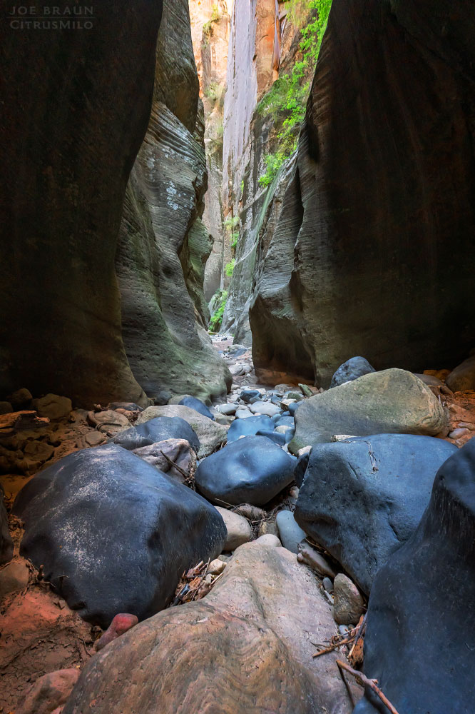 Kolob Creek (Lower Kolob Canyon) photo (Zion National Park) -- © 2025 Joe Braun Photography