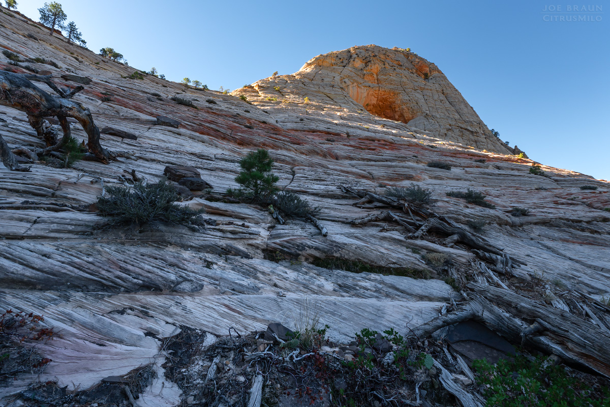 North Guardian Angel photo (Zion National Park) -- &copy; 2025 Joe Braun Photography