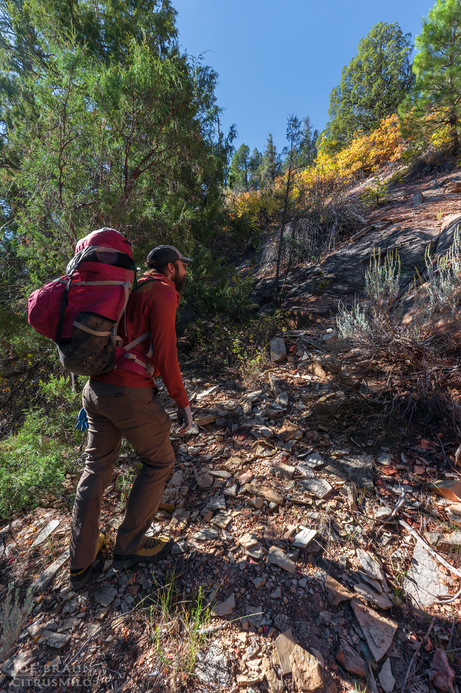 Walker Gulch (Zion National Park) -- &copy; 2025 Joe Braun Photography