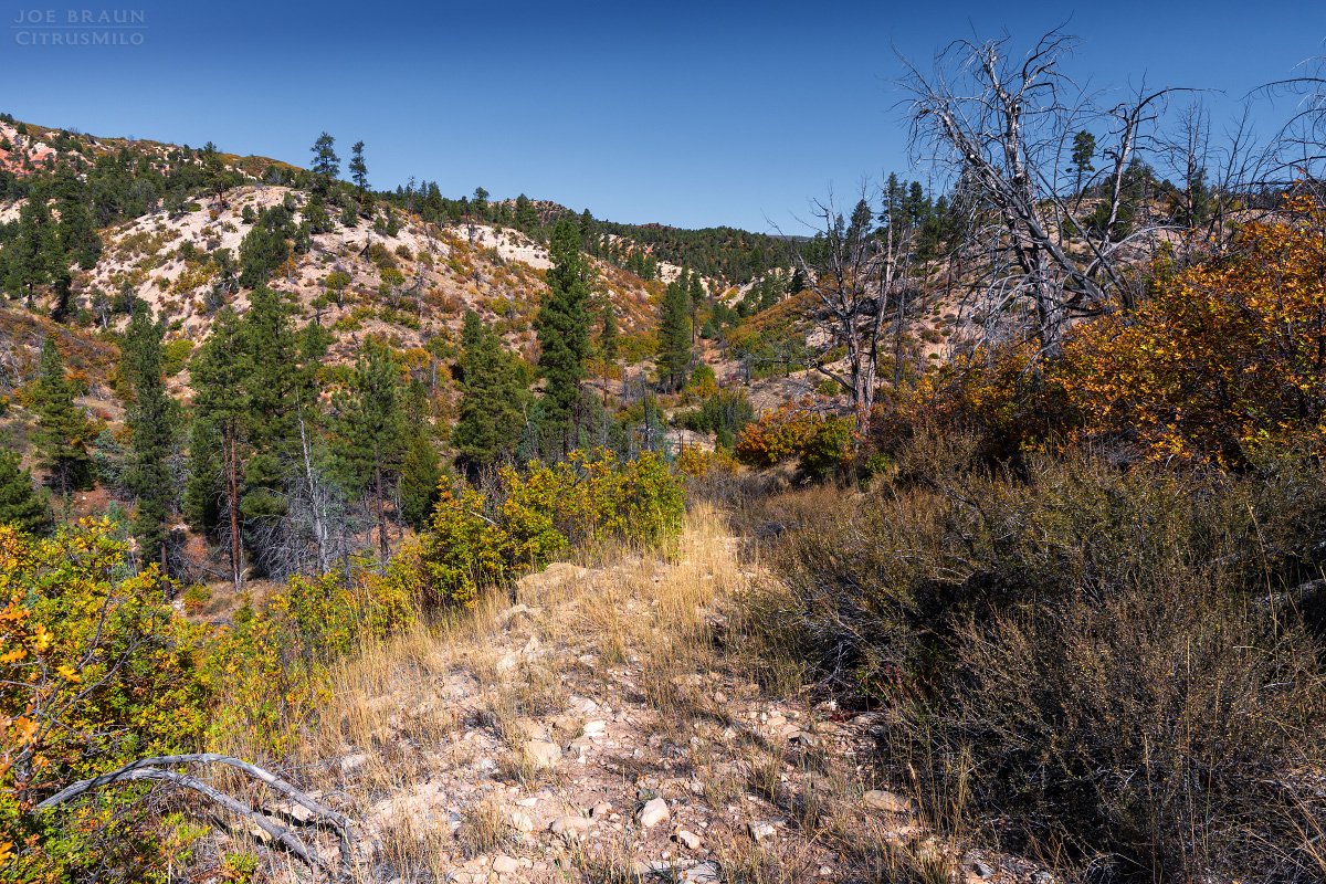 the approach hike to the head of Walker Gulch (Zion National Park) -- &copy; 2025 Joe Braun Photography