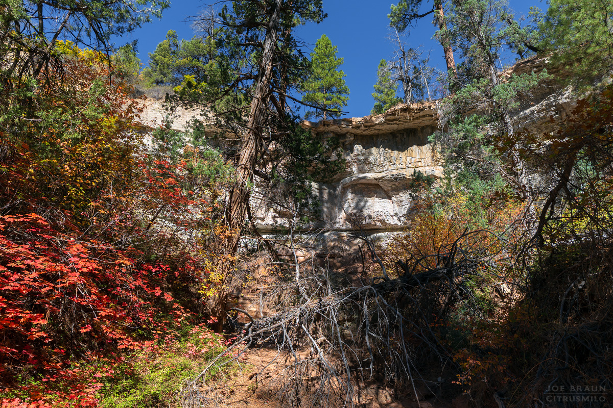 Walker Gulch (Zion National Park) -- &copy; 2025 Joe Braun Photography