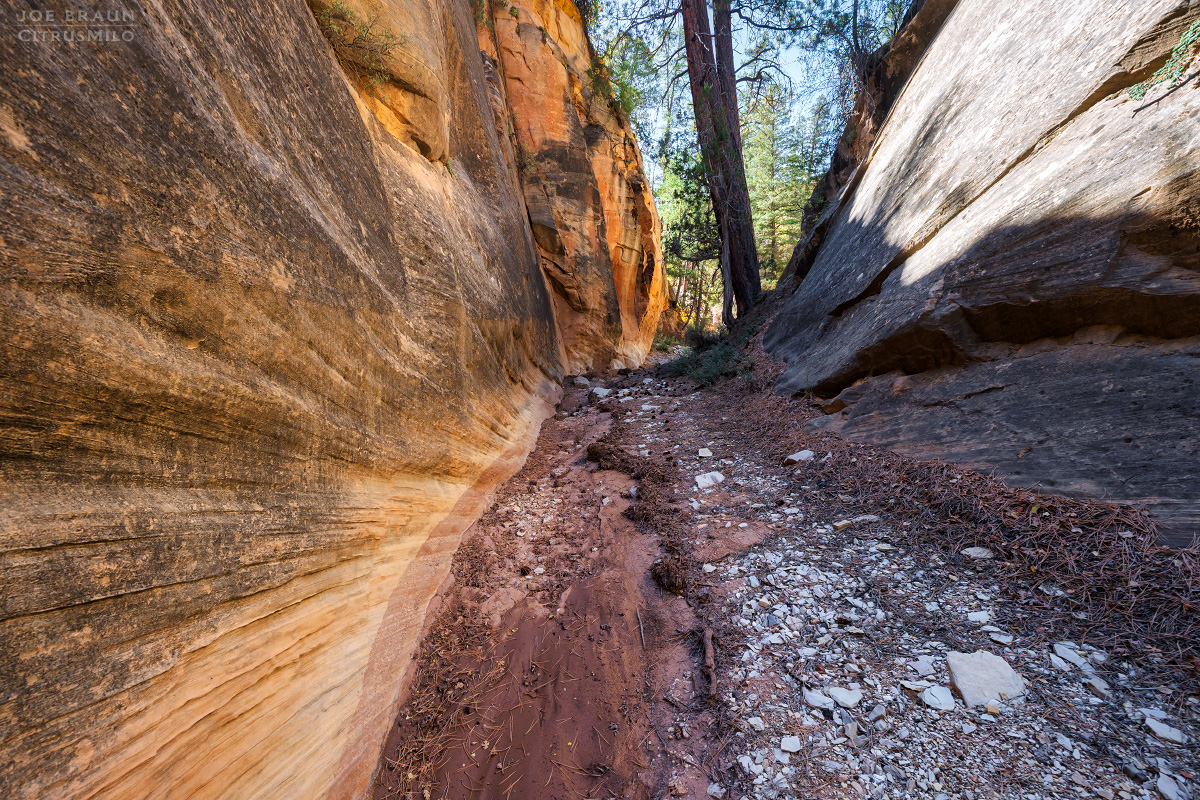 Walker Gulch (Zion National Park) -- &copy; 2025 Joe Braun Photography