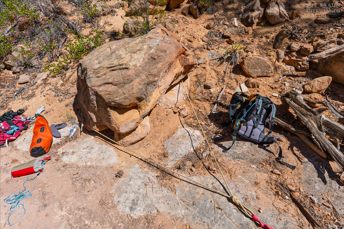 Walker Gulch (Zion National Park) -- &copy; 2025 Joe Braun Photography