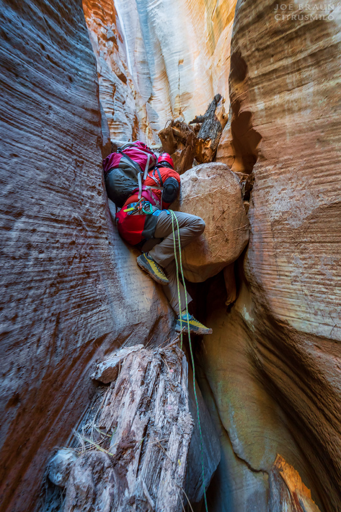 Walker Gulch (Zion National Park) -- &copy; 2025 Joe Braun Photography