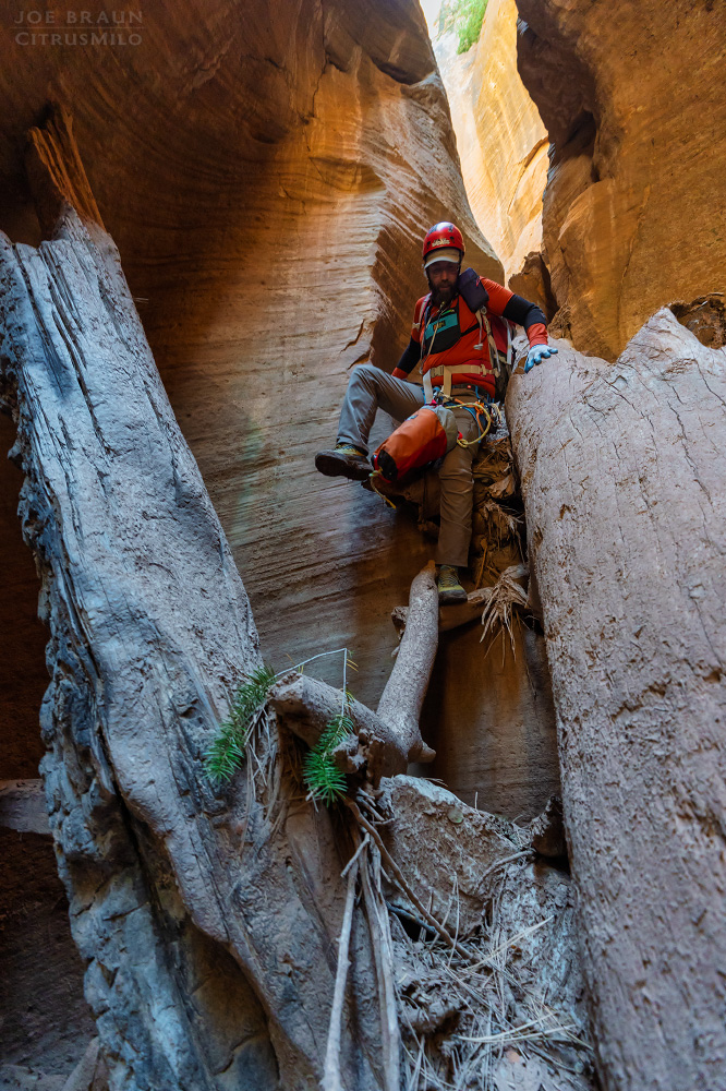 Walker Gulch (Zion National Park) -- &copy; 2025 Joe Braun Photography