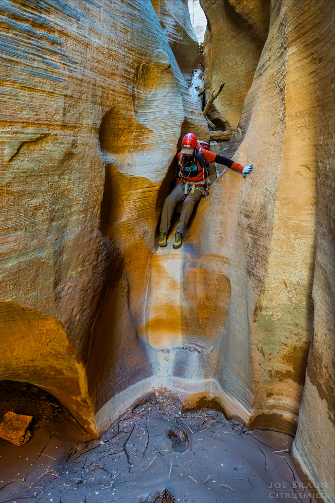 Walker Gulch (Zion National Park) -- &copy; 2025 Joe Braun Photography