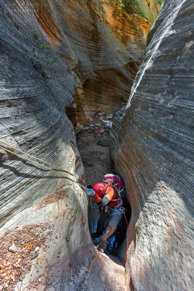 Walker Gulch (Zion National Park) -- &copy; 2025 Joe Braun Photography