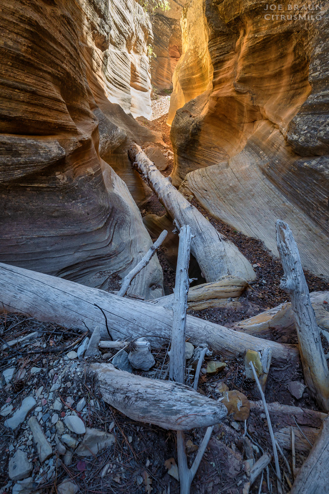 Walker Gulch (Zion National Park) -- &copy; 2025 Joe Braun Photography