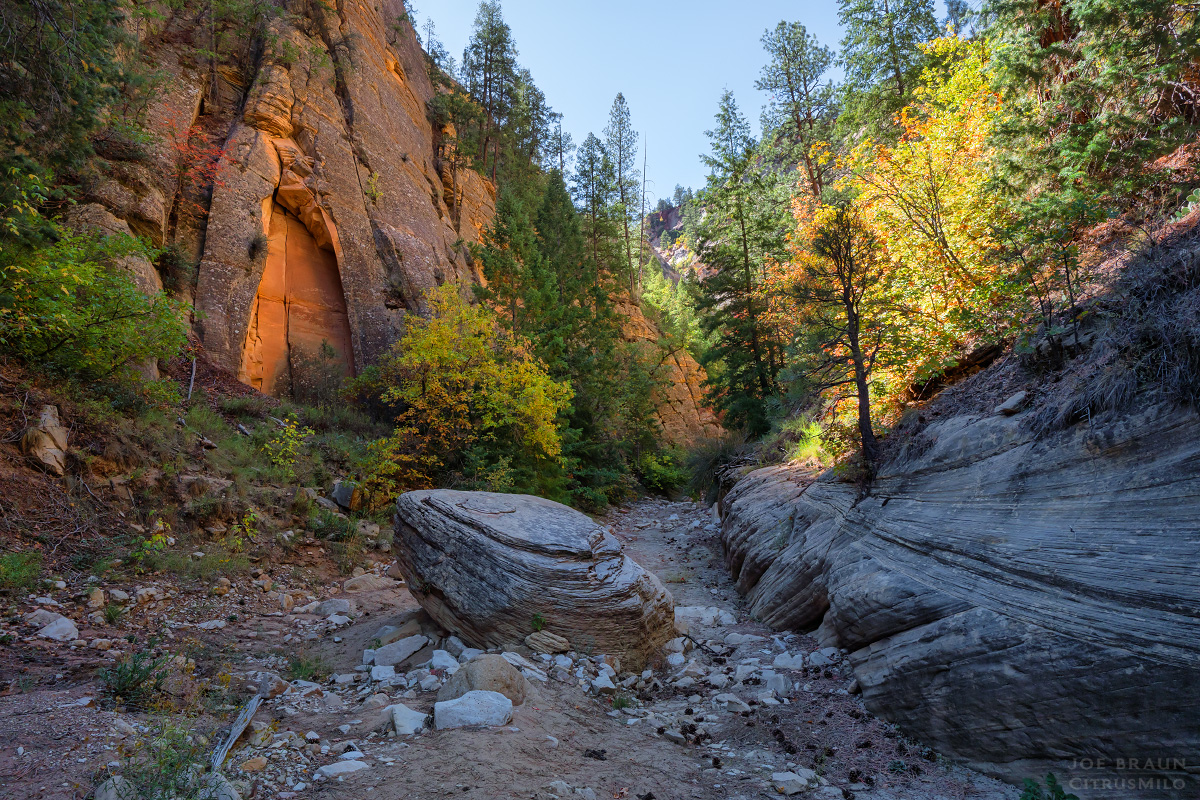 Walker Gulch (Zion National Park) -- &copy; 2025 Joe Braun Photography